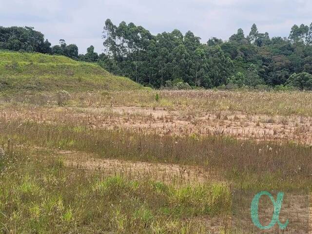 Área para Venda em Santana de Parnaíba - 5