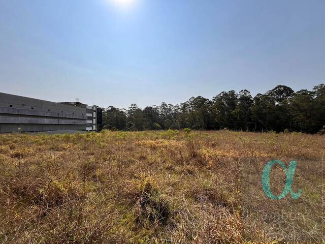 #2054 - Área para Venda em Cajamar - SP - 1