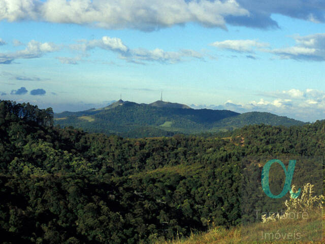 #2146 - Terreno para Venda em Santana de Parnaíba - SP - 3